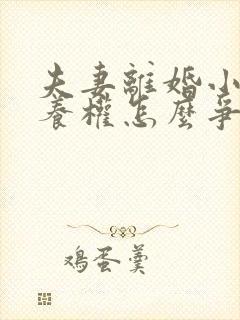 夫妻离婚小孩抚养权怎么争取