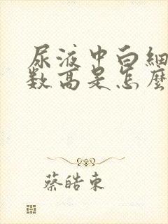 尿液中白细胞计数高是怎么回事