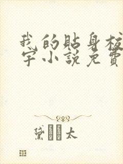 我的贴身校花唐宇小说免费