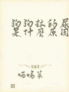 狗狗拉的尿红色是什么原因