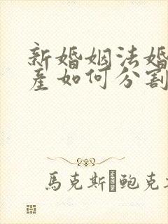 新婚姻法婚前财产如何分割