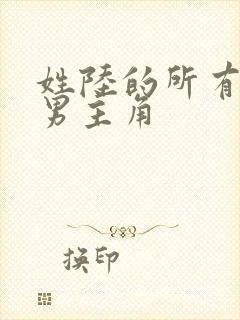 姓陆的所有小说男主角