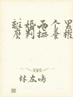 离婚两个男孩怎么判抚养权