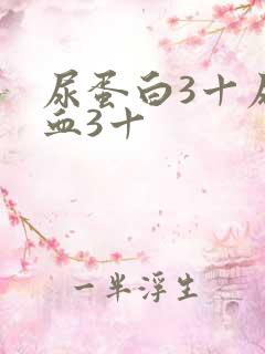 尿蛋白3十尿潜血3十