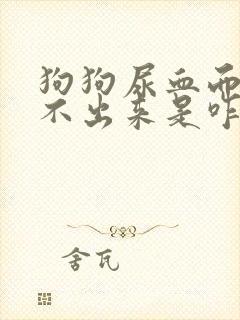 狗狗尿血而且尿不出来是咋回事