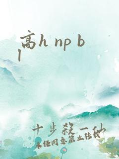高h np bl
