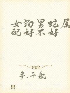 女狗男蛇属相婚配好不好