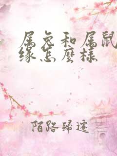 属兔和属鼠的姻缘怎么样