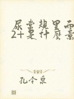 尿常规里面隐血2+是什么意思