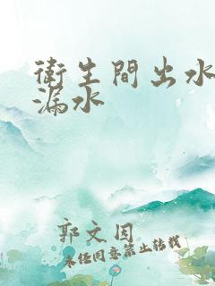 卫生间出水管道漏水