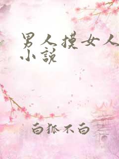 男人摸女人下面小说