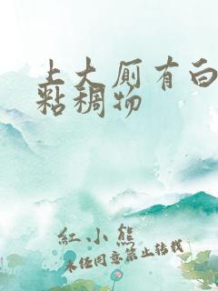 上大厕有白色的粘稠物