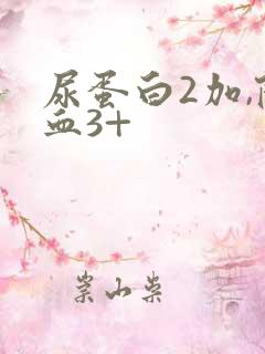 尿蛋白2加,隐血3+