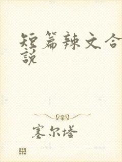 短篇辣文合集小说