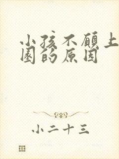 小孩不愿上幼儿园的原因