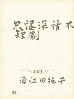 只恨深情不识鸢 短剧