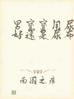 男宝宝用尿不湿好还是尿布好