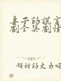 妻子的谎言电视剧全集剧情免费