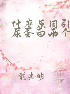 什么原因引起的尿蛋白两个加号