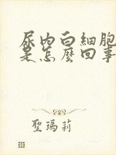 尿内白细胞增多是怎么回事