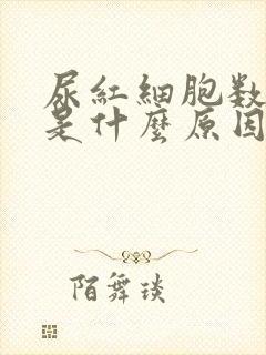 尿红细胞数量高是什么原因