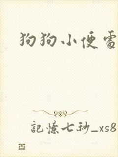 狗狗小便处流脓