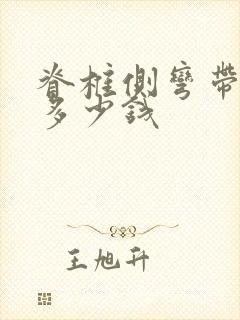 脊椎侧弯带支具多少钱