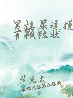 男性尿道摸起来有颗粒状