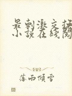 最刺激交换夫妇小说在线阅读