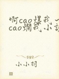 啊cao爆我~cao烂我小说