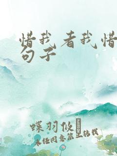 惜我者我惜之的句子