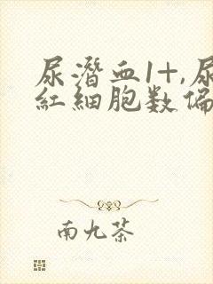 尿潜血1+,尿红细胞数偏高