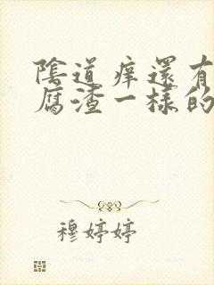 阴道痒还有像豆腐渣一样的东西