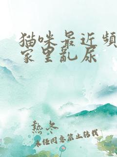 猫咪最近频繁在家里乱尿