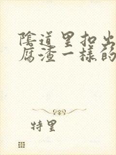 阴道里扣出像豆腐渣一样的东西