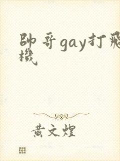 帅哥gay打飞机