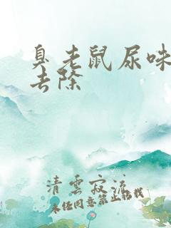 臭老鼠尿味怎样去除