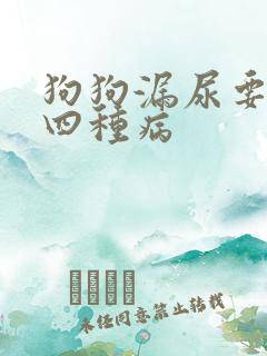 狗狗漏尿要警惕四种病