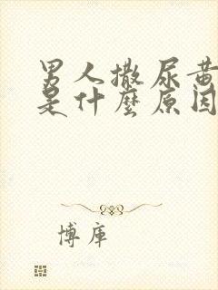 男人撒尿黄色的是什么原因引起的