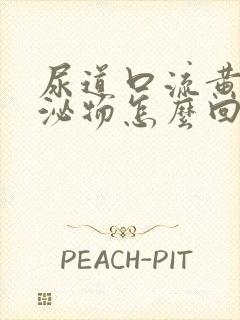 尿道口流黄色分泌物怎么回事