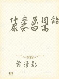 什么原因能引起尿蛋白高