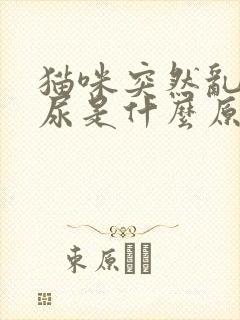 猫咪突然乱拉乱尿是什么原因