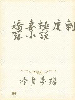 娇妻极度刺激暴露小说