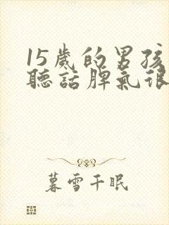 15岁的男孩不听话脾气很暴躁怎么办