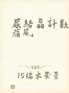 尿结晶计数偏高痛风