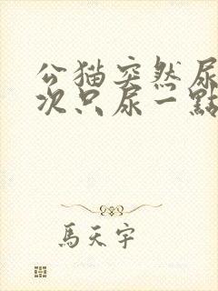 公猫突然尿频每次只尿一点