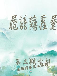 尿液检查尿白细胞弱阳性是什么意思