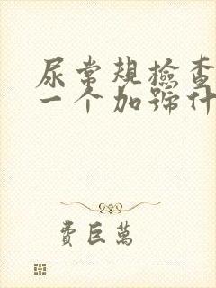 尿常规检查隐血一个加号什么意思