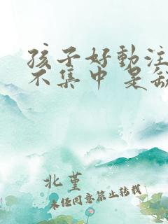 孩子好动注意力不集中 是缺什么 还是什么