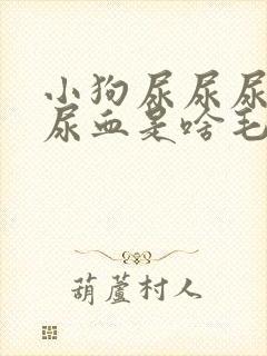 小狗尿尿尿出来尿血是啥毛病?